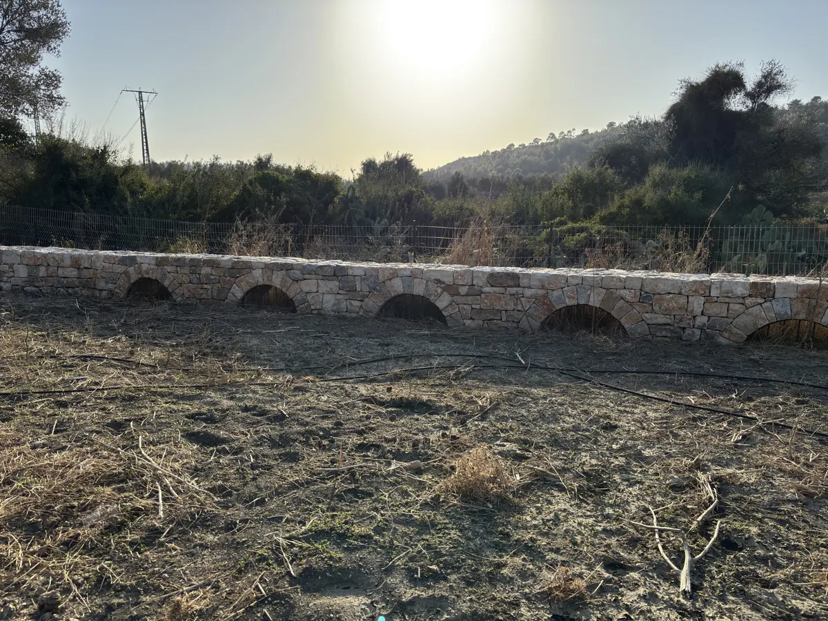 קיר אבן עם קשתות בחורשת זיתים, עבודה של אבן לקט
